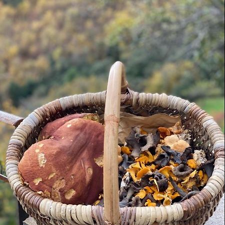 Domaine Le Verdier Saint-Michel-de-Dèze Kültér fotó