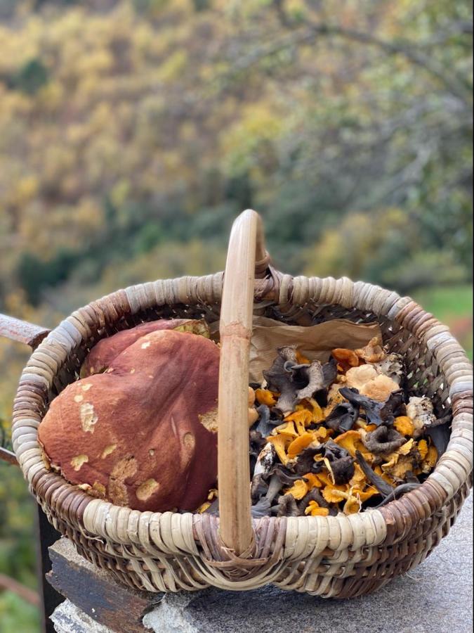 Domaine Le Verdier Saint-Michel-de-Dèze Kültér fotó